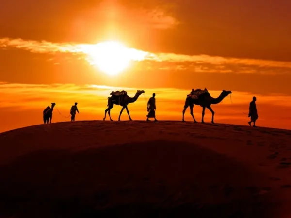 Rajasthan Tour Packages- Discover the Magic of India’s Royal State